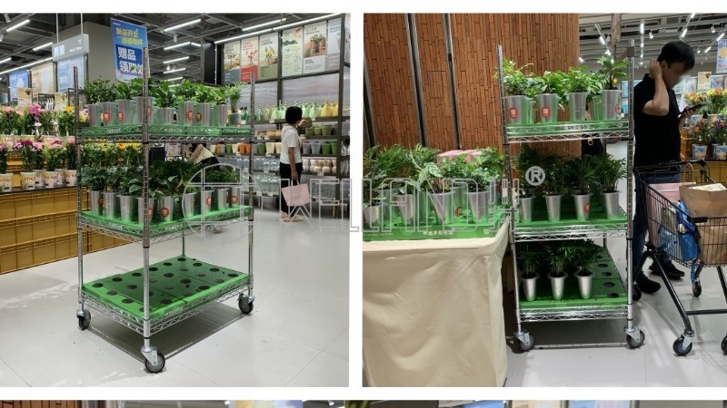 客户案例展示：超市植物陈列金属网架解决方案