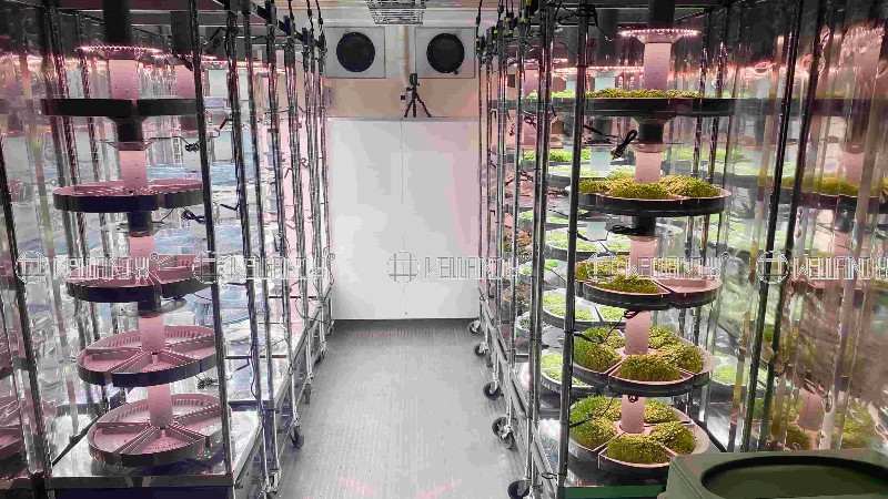 定制不锈钢温室种植架，为现代化农业赋能