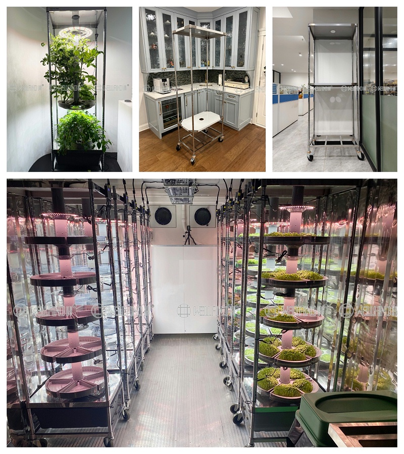 定制不锈钢温室种植架，为现代化农业赋能