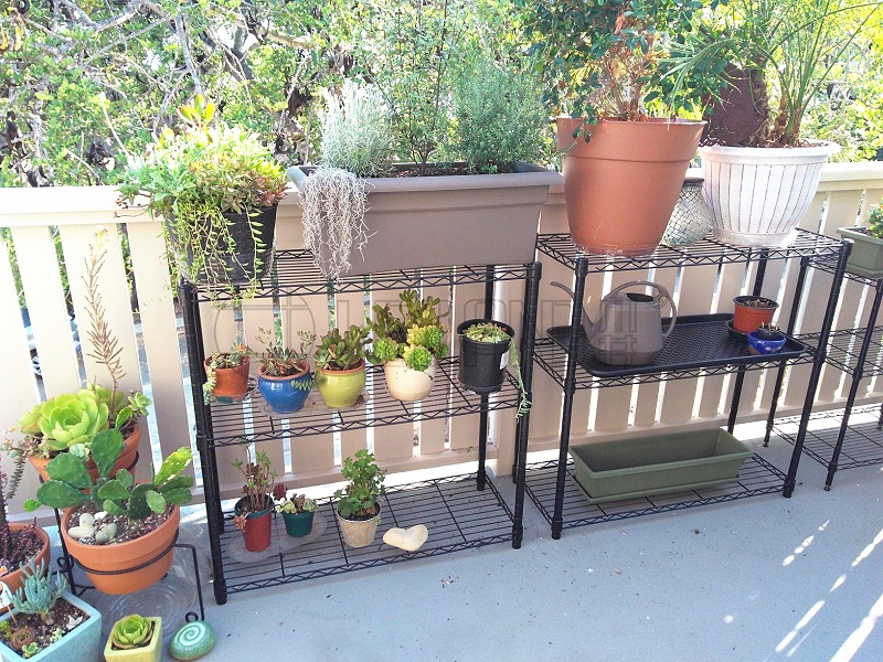阳台露台花架 植物种植架案例分享-川井