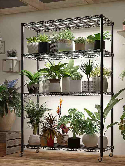 四层多层水培种植架 四层多层水培种植架